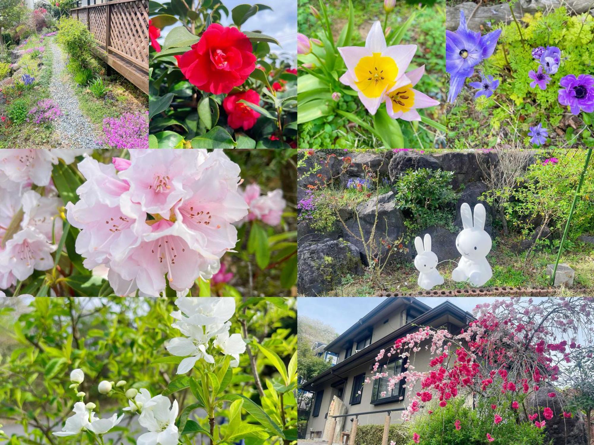貸別荘花摘里　伊豆高原 Futo Kültér fotó
